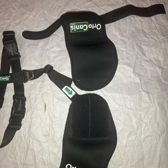 Ortocanis Hip Support for Dog - Picture 11 of 15